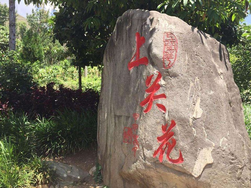 大理上关花风景区