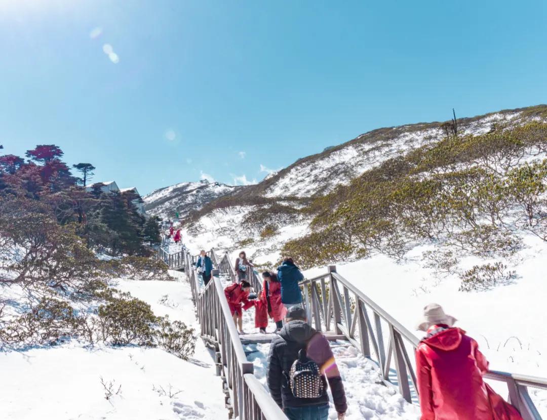 雪落苍山,掀起大理苍山雪观景潮,成就洗马潭与众不同的风光!