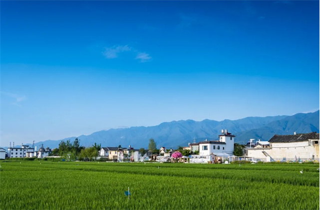 住进大理喜洲古镇天谷喜院精品酒店，在这方心灵栖息地倾听大理故事