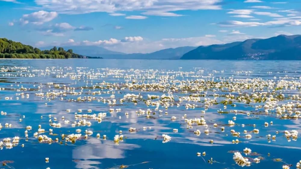 一湖星河，半城温柔